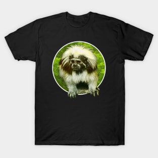 Cotton-top tamarin T-Shirt